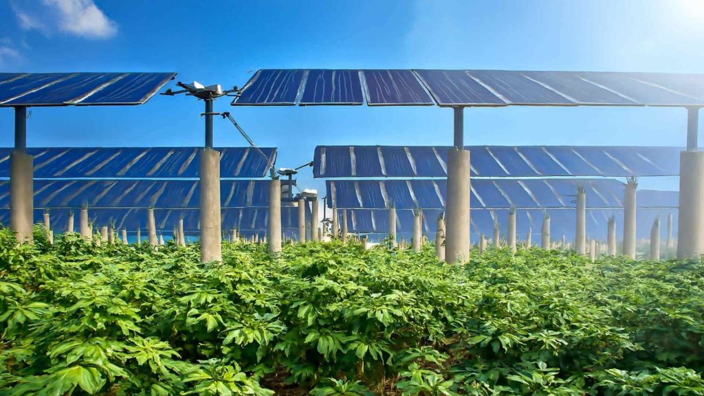 advantages-of-agricoltaic-systems-for-crop-production-img