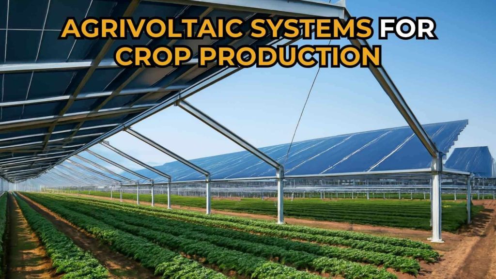 agrivoltaic-system-crop-production-California-img