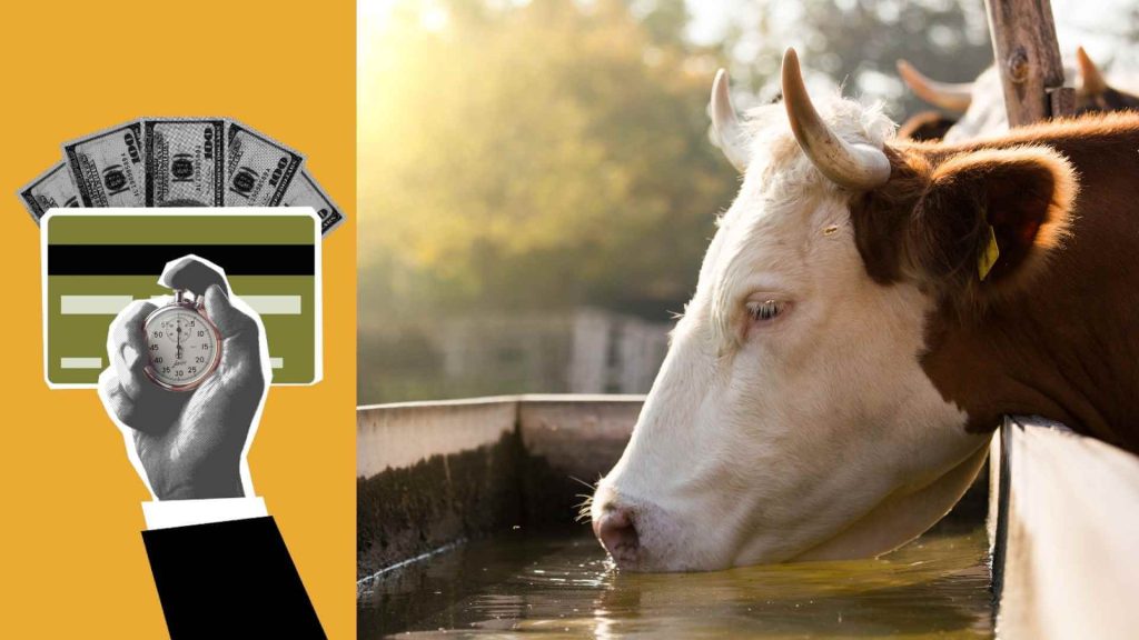 cost-savings-on-solar-powered-livestock-watering-systems-img