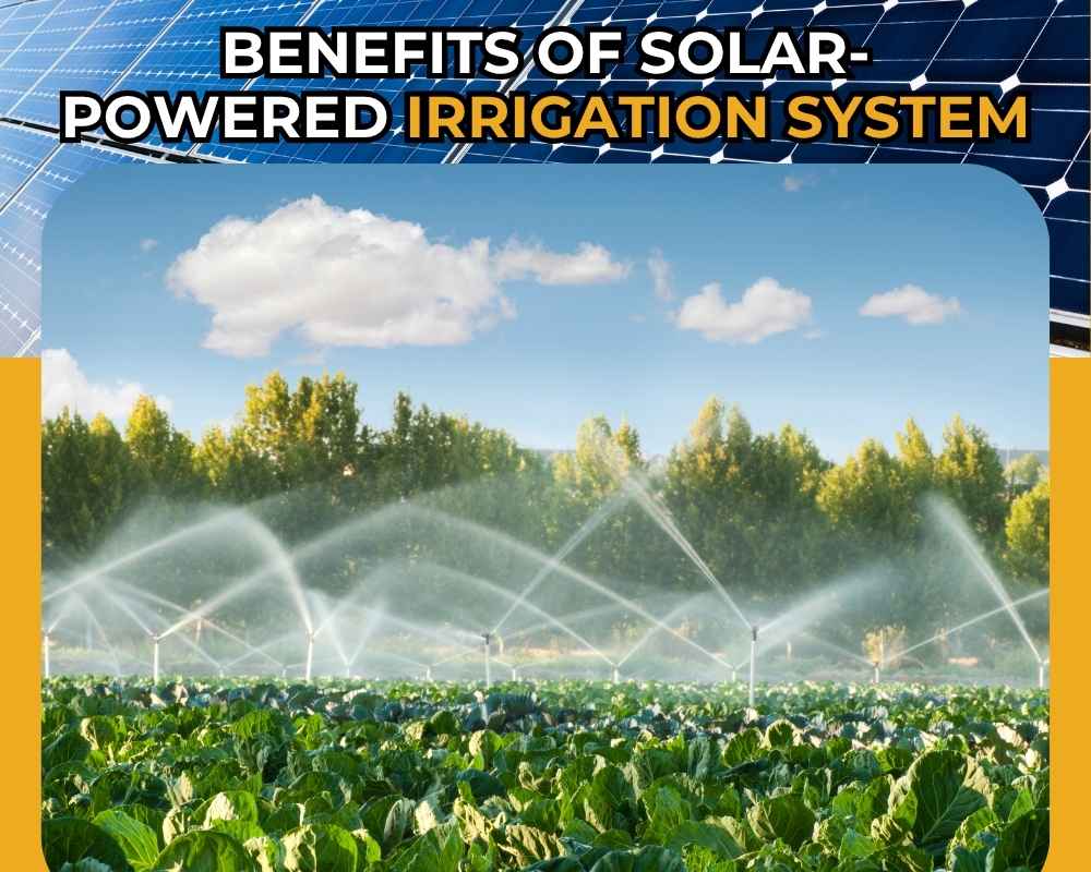 solar-powered-irrigation-system-benefits-img