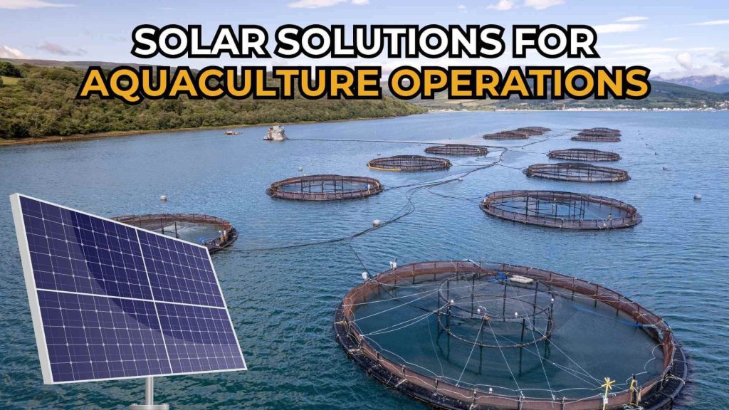 solar-solutions-for-aquaculture-operations-including-fish-farming-img
